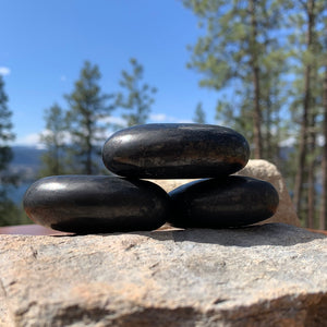 Shungite Palmstone