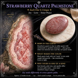 Pietra di palma al quarzo fragola