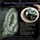 Grüner Moosachat Palmstein