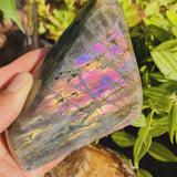 Large (1.01 lbs.) Purple Flash Labradorite Freeform (Item #0100)