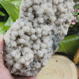 Grande grappe d'apophyllite (1,61 lb) (article n ° 0023)